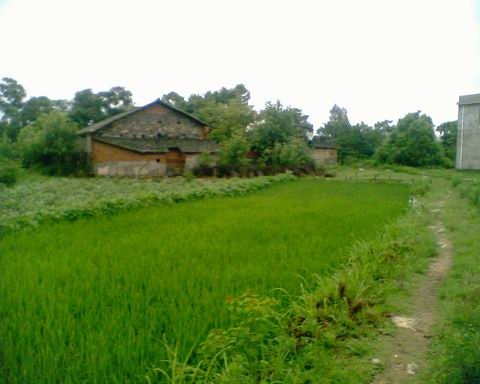 湖北省黄冈市麻城市宋埠镇红梅山村