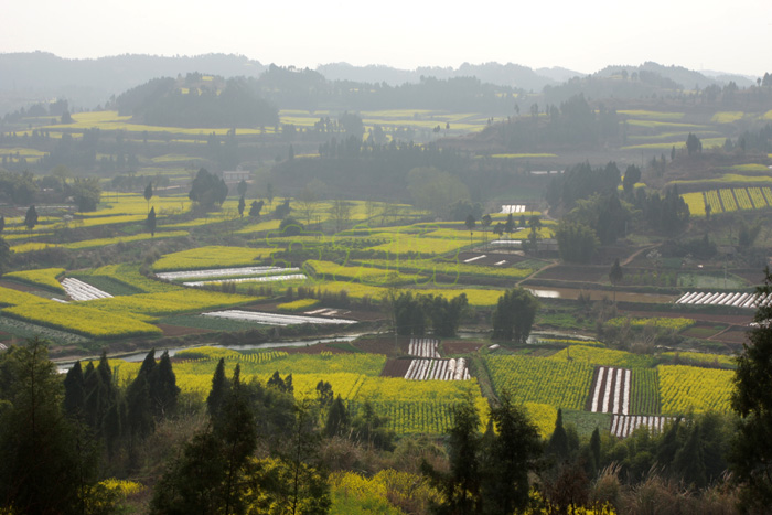 四川省资阳市雁江区临江镇墨池村
