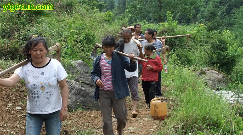 图片_湖南省湘西州保靖县复兴镇那铁村