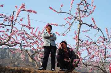 图片_山东省临沂市蒙阴县高都镇汇泉坪村