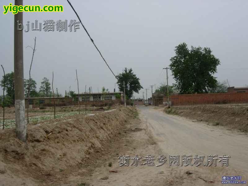 图片_河北省衡水市故城县建国镇曹口村