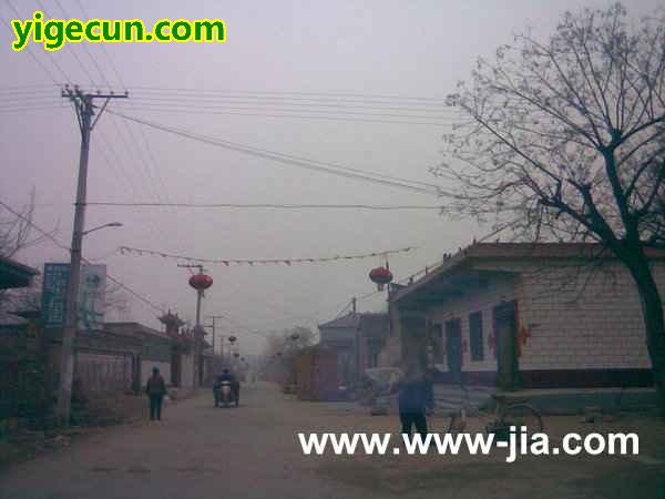 图片_河南省安阳市内黄县中召乡东街村