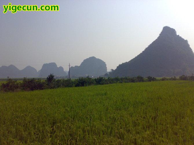 广西玉林市兴业县葵阳镇龙口村