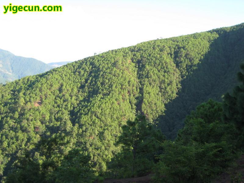 图片_云南省楚雄州双柏县独田乡独田村