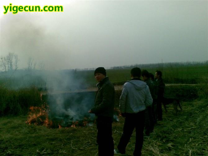 图片_河南省南阳市唐河县郭滩镇老岗村