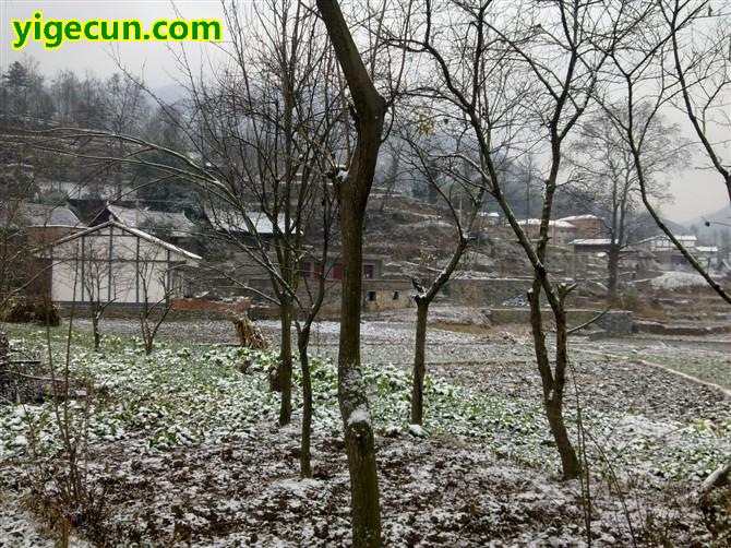 图片_贵州省毕节市纳雍县维新镇坪子村