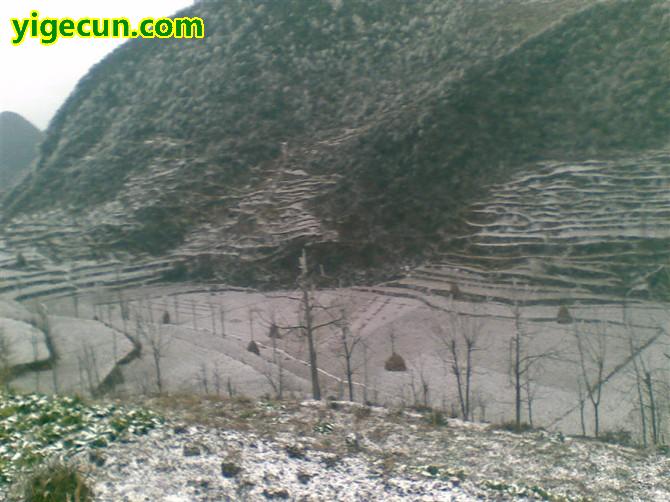 图片_贵州省毕节市赫章县罗州乡高山村