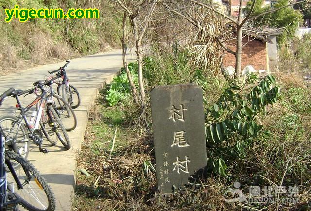 福建省南平市延平区南山镇村尾村图片