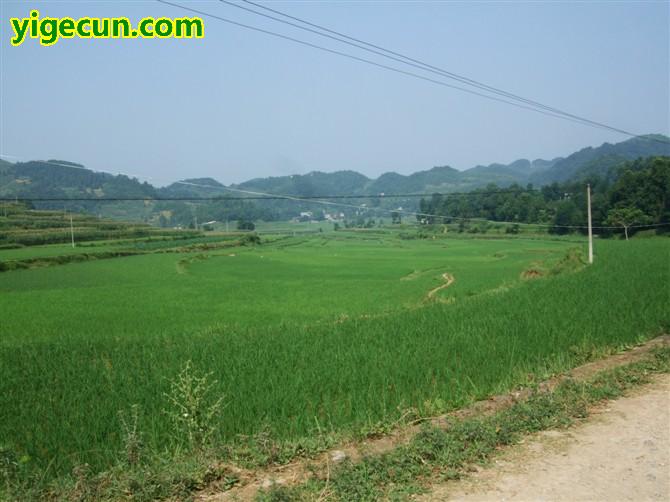 图片_贵州省遵义市凤冈县琊川镇文昌村