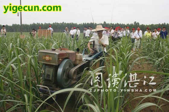 图片_广东省湛江市遂溪县北坡镇三合村