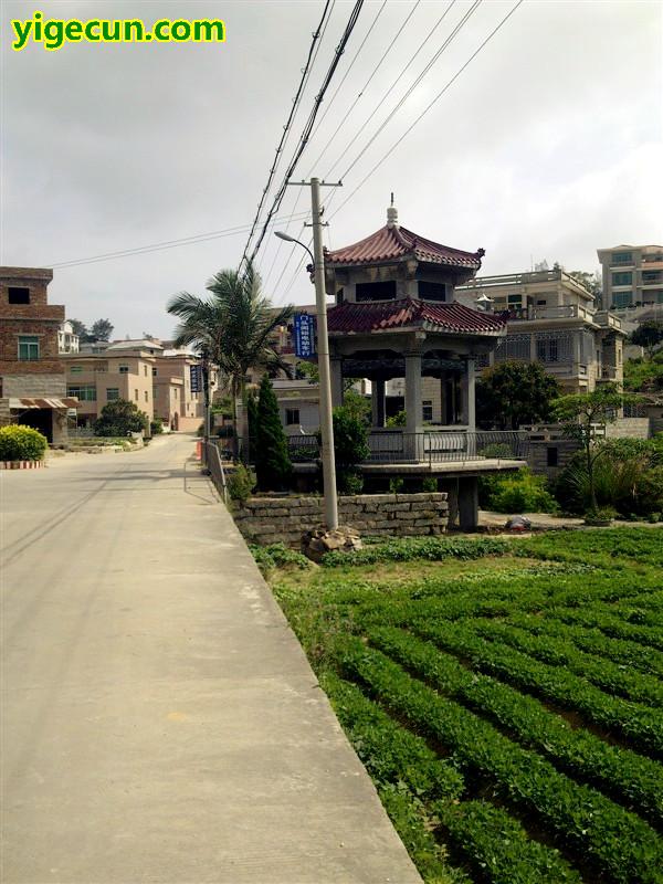 福建省泉州市惠安县张坂镇山内村