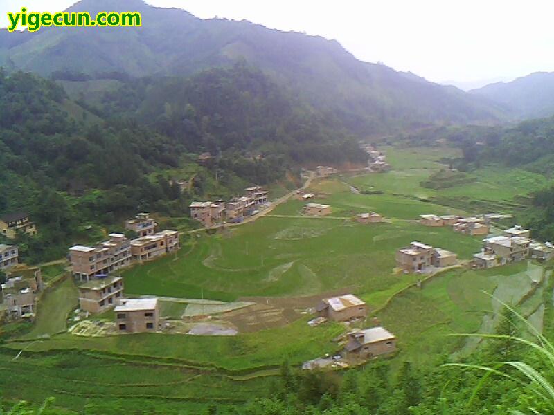 图片说明:高峰村秧草组全景