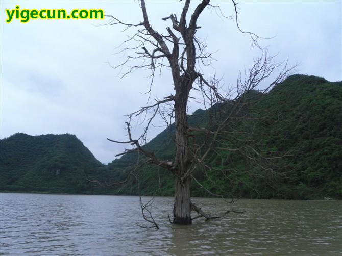 贵州省黔东南州天柱县坪地镇暗沟村