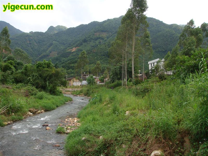 图片_福建省漳州市平和县山格镇双坑村