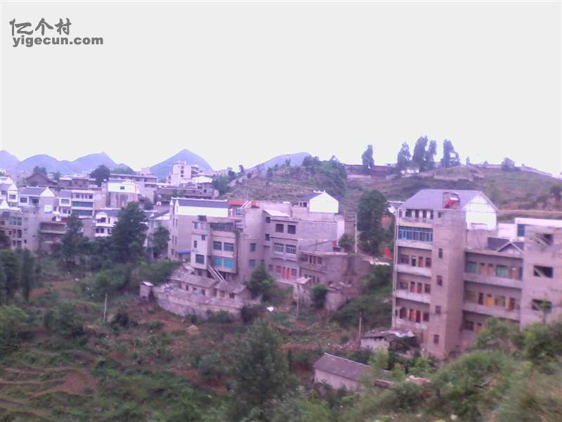 贵州省毕节地区大方县马场镇马场村