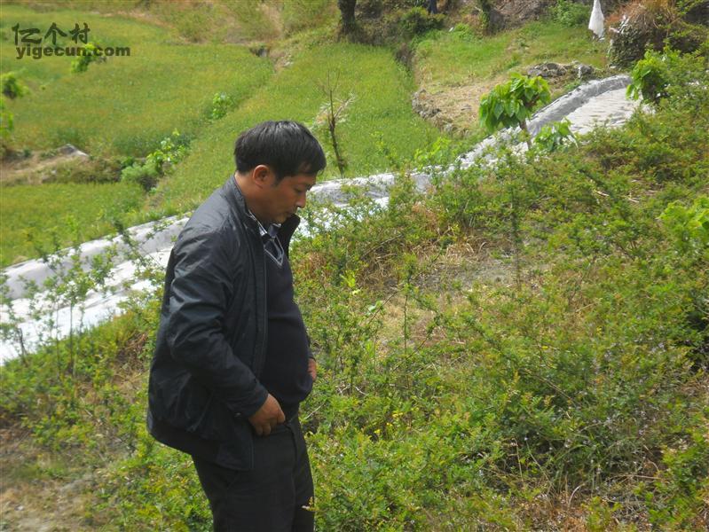 图片_四川省凉山州冕宁县锦屏乡盘山村