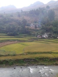 贵州省毕节市七星关区阴底乡红星村图片