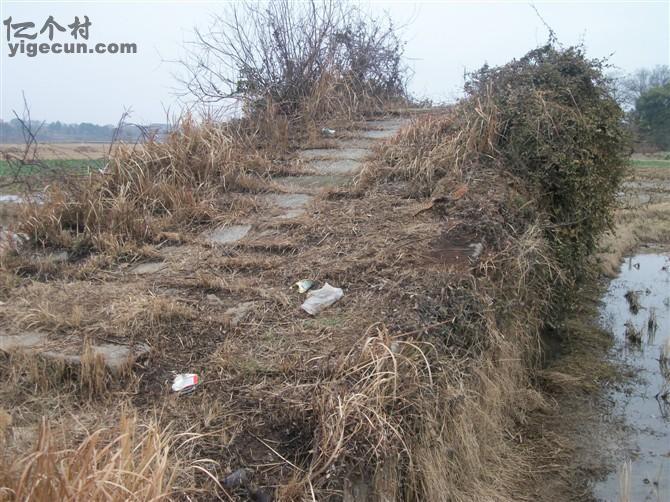 江西省南昌市安义县石鼻镇砀山村图片