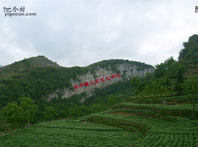 贵州省毕节市织金县三塘镇大方寨村