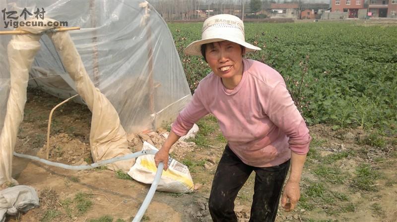 湖北省黄冈市麻城市宋埠镇拜郊村