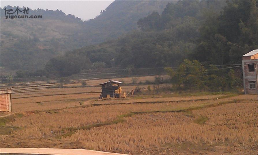 广西钦州市灵山县平南镇杨梅村