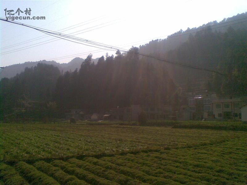 图片_贵州省毕节市金沙县岩孔镇箐口村