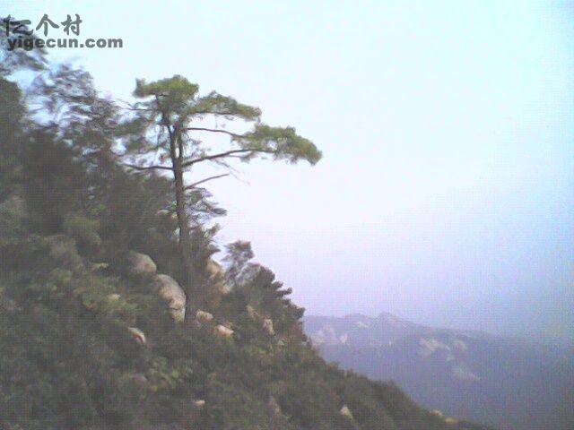 罗山县图片