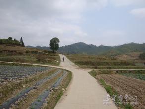 福建省三明市宁化县济村乡昆岗村图片