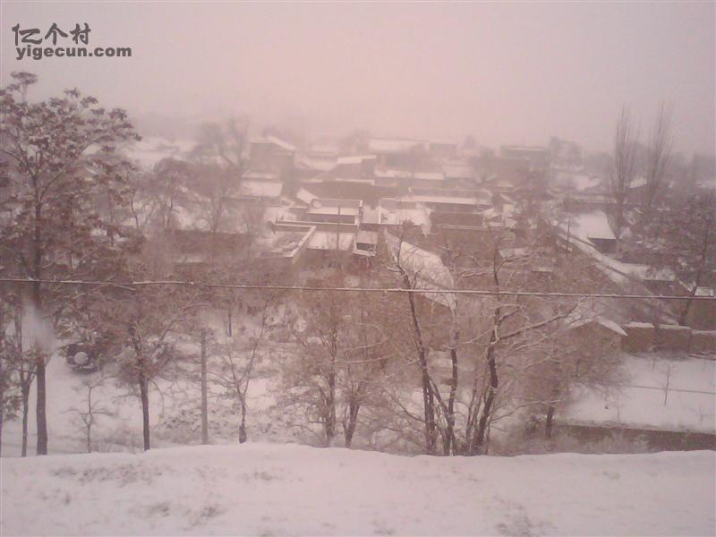 图片_甘肃省天水市武山县洛门镇旱坪村