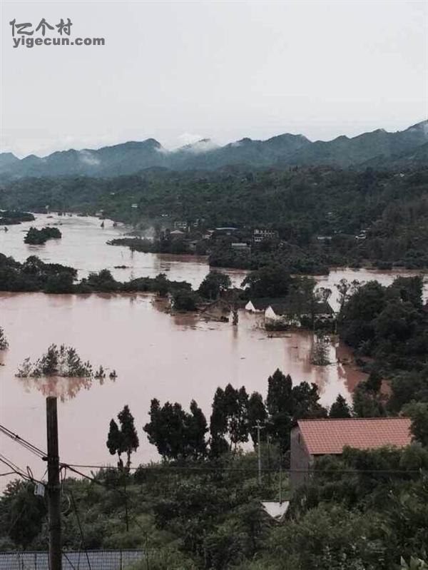 图片_重庆市长寿区洪湖镇称沱村