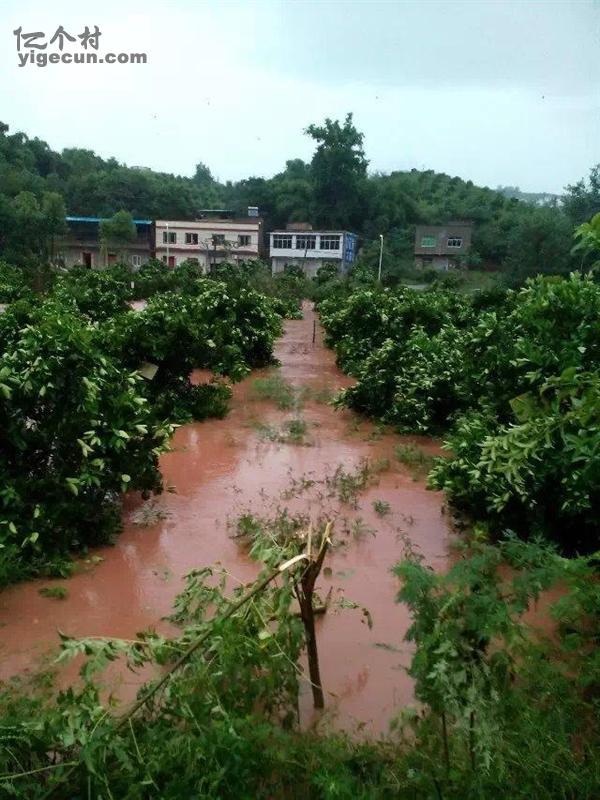 图片_重庆市长寿区洪湖镇称沱村