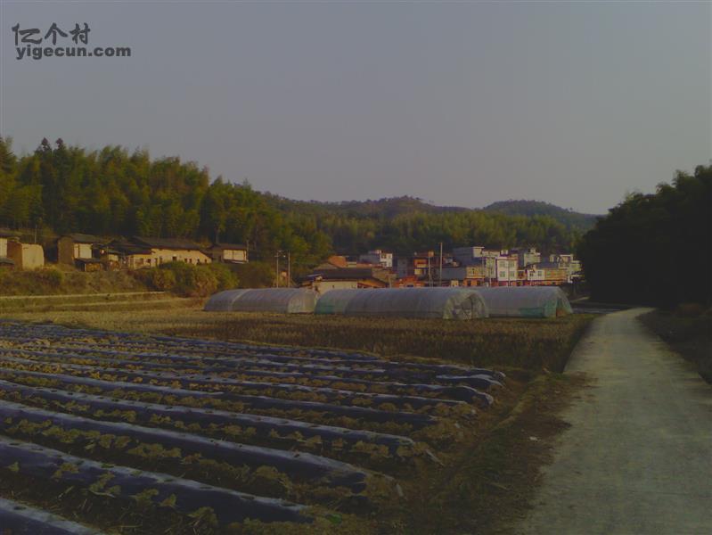 福建省三明市宁化县济村乡昆岗村图片