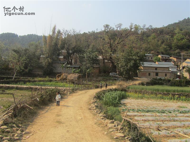 图片_云南省文山州丘北县温浏乡令冲村