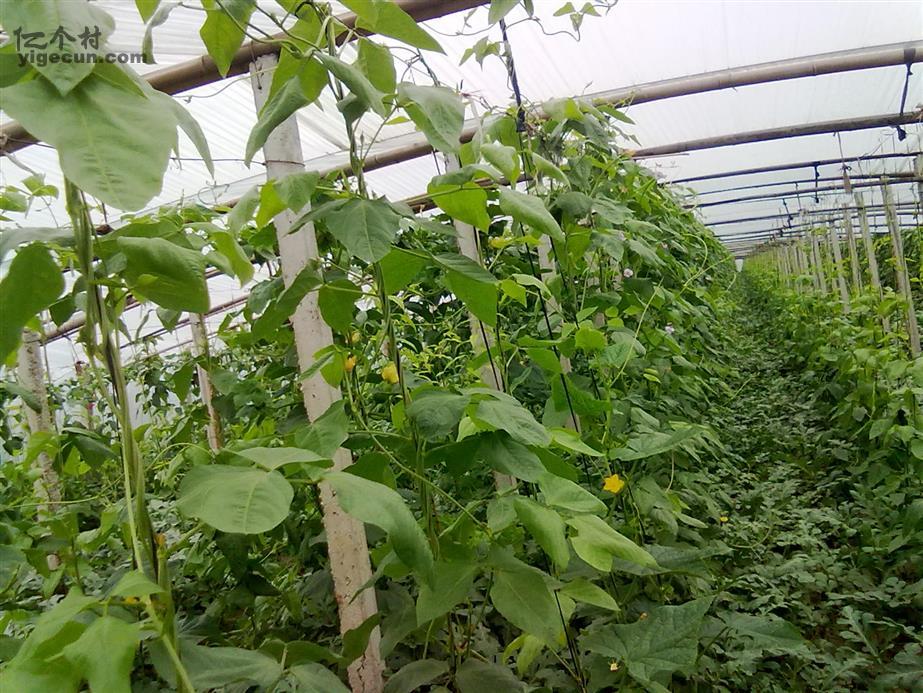 <em>妹冢镇</em>_<em>山东省聊城市莘县妹冢镇</em>_一个村