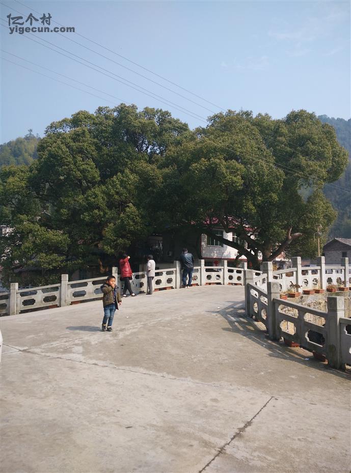江西省上饶市广丰县铜钹山镇小丰村图片