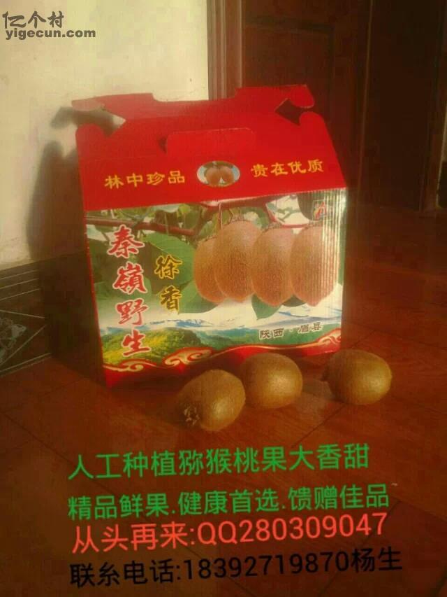 徐香猕猴桃礼合包装