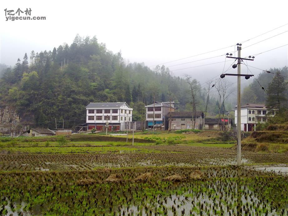 图片_重庆市彭水县太原乡麒麟村