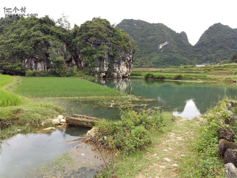 图片_广西百色市靖西县禄峒乡大院村