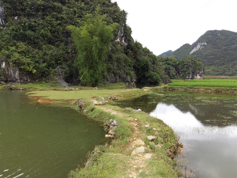 广西百色市靖西县禄峒乡大院村图片