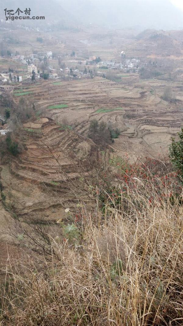 贵州省毕节市七星关区放珠镇曹家村图片