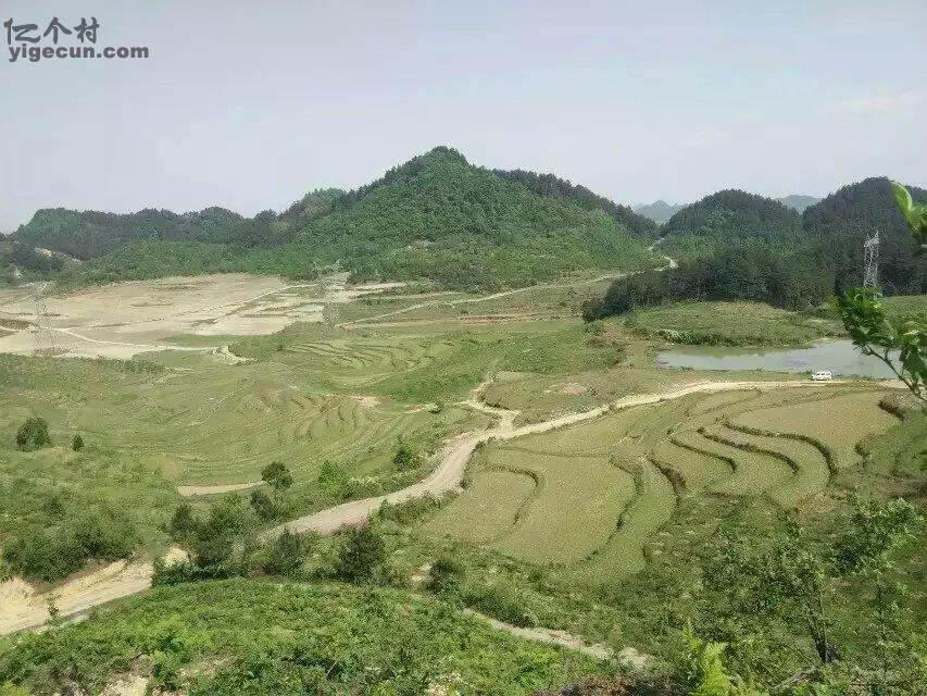 图片_贵州省安顺市西秀区双堡镇大坝村