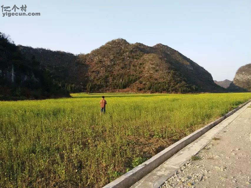 图片_贵州省安顺市西秀区双堡镇大坝村