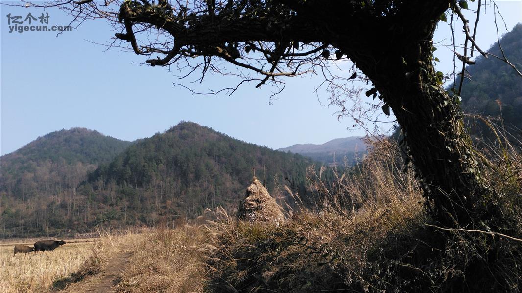 图片_湖南省湘西州永顺县松柏镇仙仁村