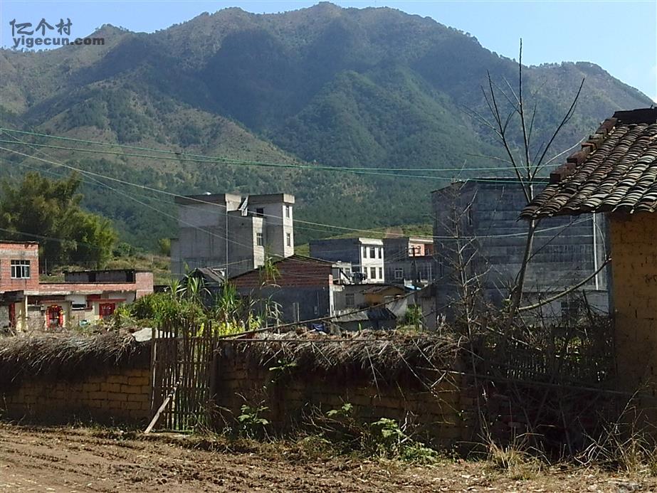 图片_广西梧州市苍梧县沙头镇龙科村