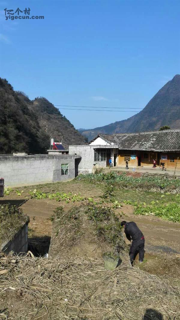图片_云南省昭通市彝良县牛街镇水田村
