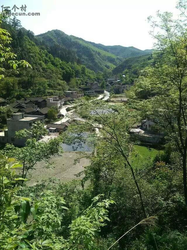 图片说明:空气清新,养心目的地大鹏溪村庄