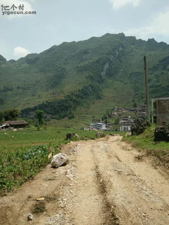 云南省昭通市彝良县牛街镇水田村图片