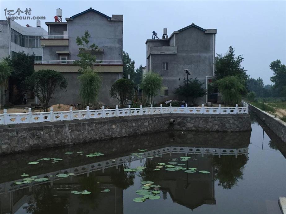 图片_湖北省黄冈市麻城市中馆驿镇林家下湾村