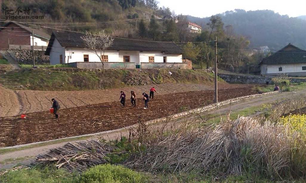 湖北省荆州市松滋市刘家场镇三堰淌村图片