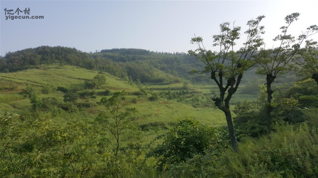 图片_湖北省十堰市郧县白桑关镇龙潭沟村